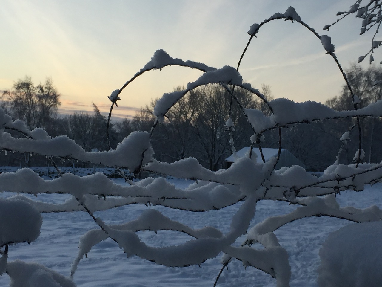 Fwd: Winter lockdown			
					</div><!-- .entry-content -->
		
		<footer>
		
		
		
					
					</footer><!-- .entry-meta -->
	</article><!-- #post -->
				
											
				
		
<hr class=