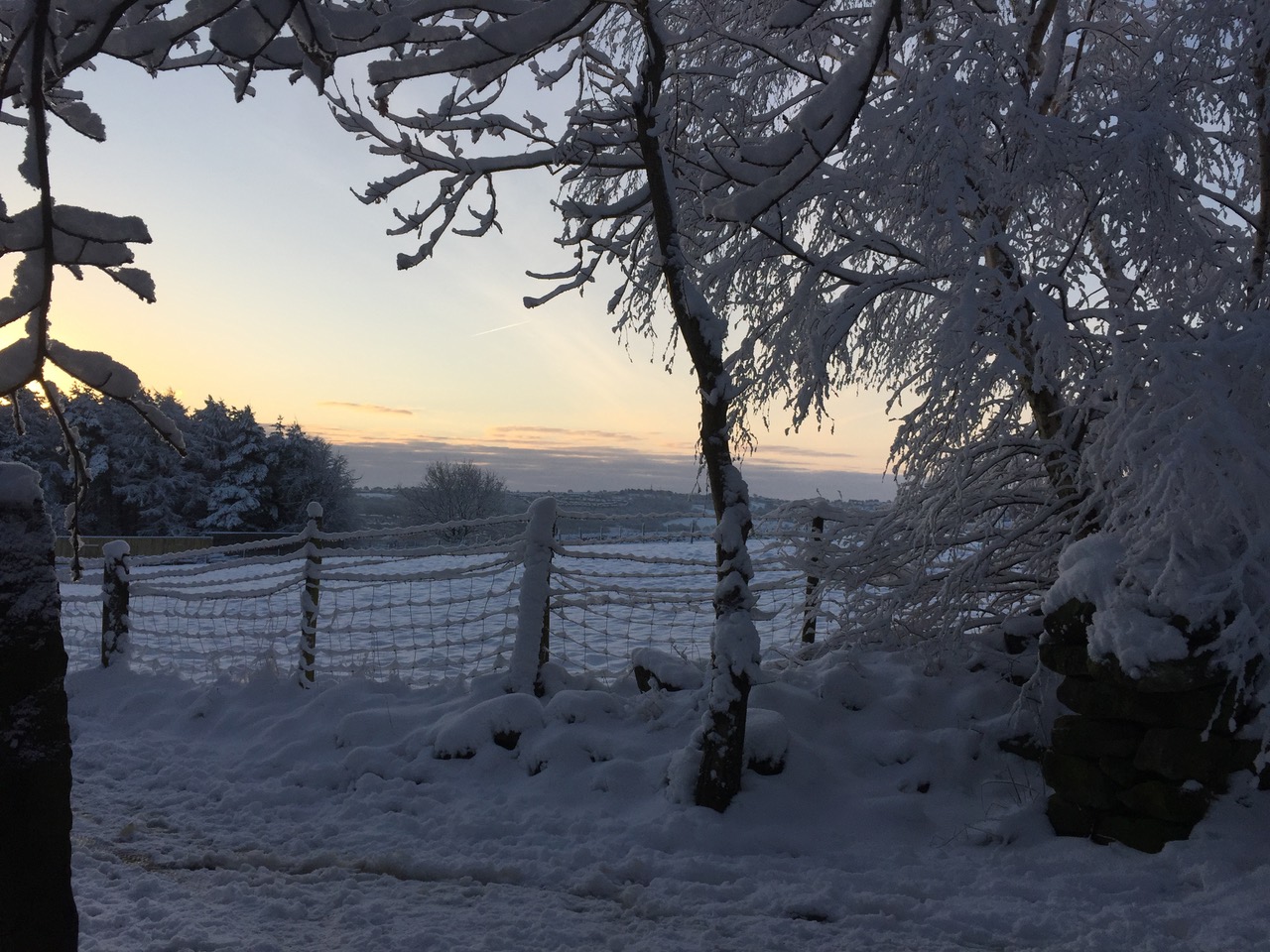 Fwd: Wadsley & Loxley common			
					</div><!-- .entry-content -->
		
		<footer>
		
		
		
					
					</footer><!-- .entry-meta -->
	</article><!-- #post -->
				
											
				
		
<hr class=