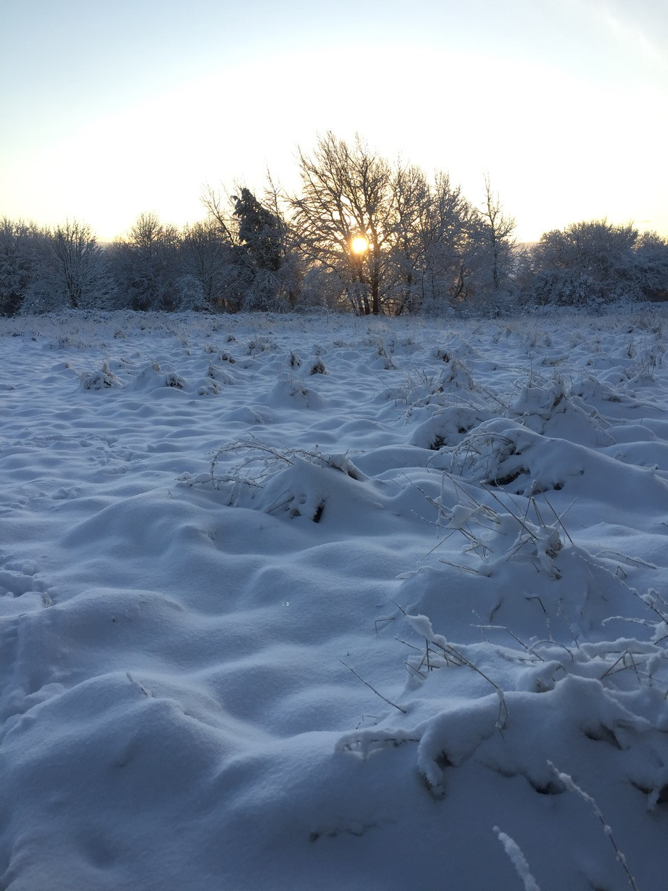Fwd: Loxley Common walk			
					</div><!-- .entry-content -->
		
		<footer>
		
		
		
					
					</footer><!-- .entry-meta -->
	</article><!-- #post -->
				
											
				
		
<hr class=
