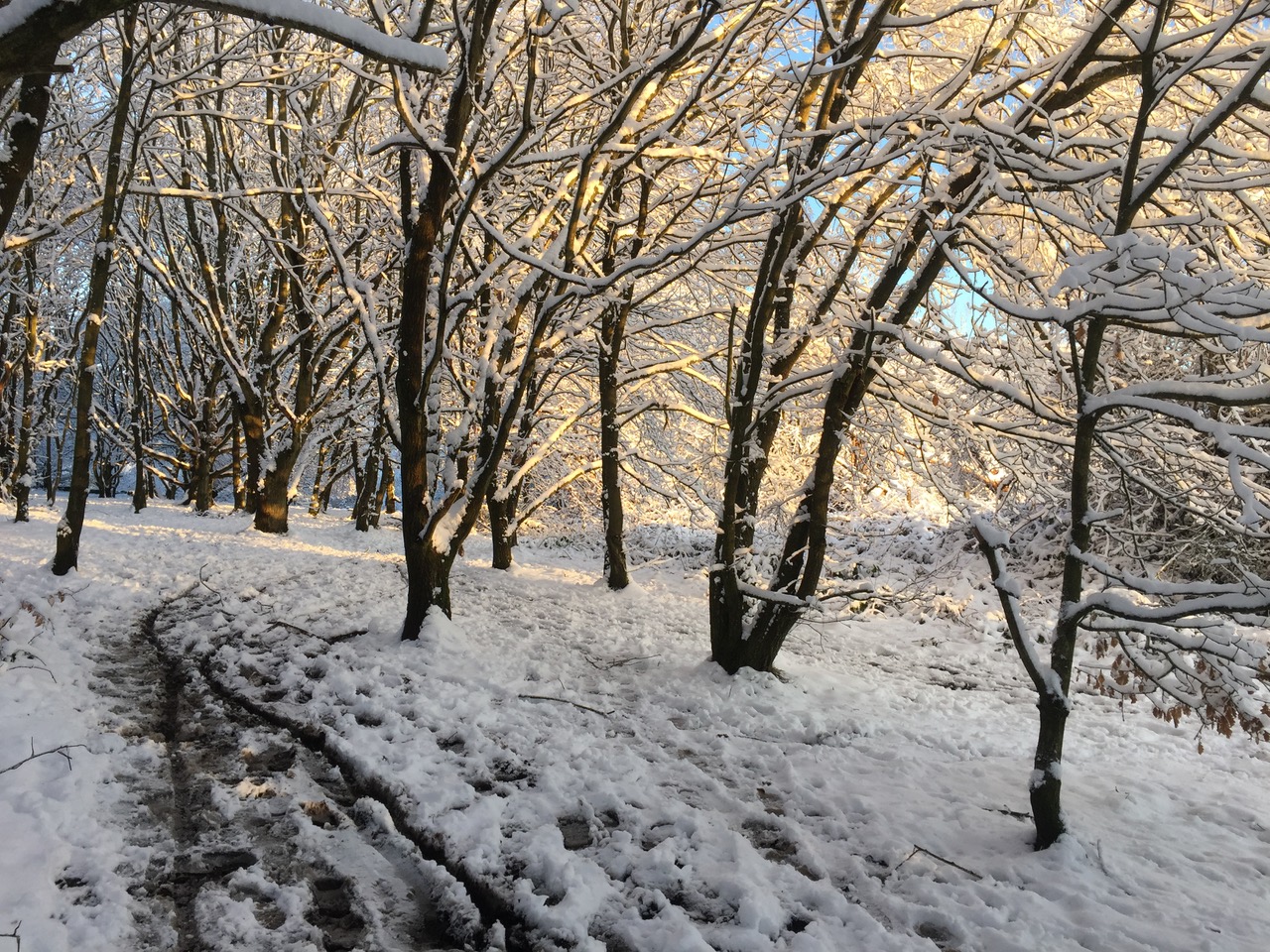 Fwd: Wadsley and loxley common			
					</div><!-- .entry-content -->
		
		<footer>
		
		
		
					
					</footer><!-- .entry-meta -->
	</article><!-- #post -->
				
											
				
		
<hr class=