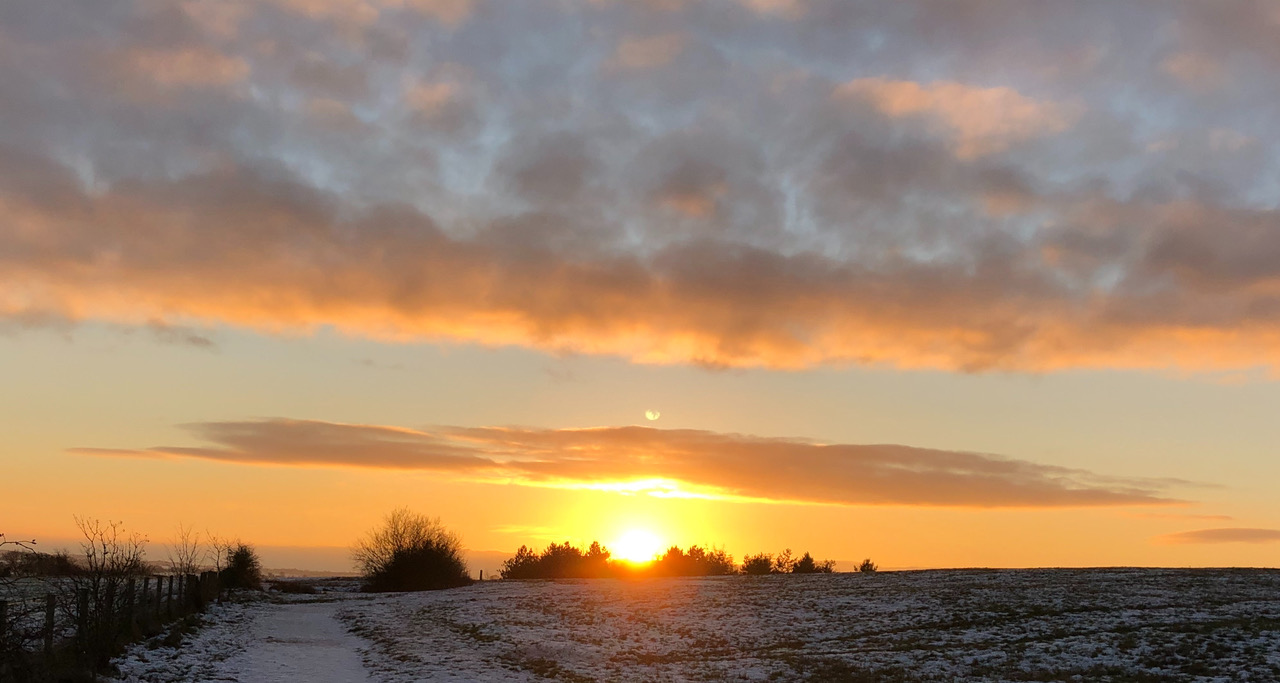 Fwd: North Anston – Bird Scrape			
					</div><!-- .entry-content -->
		
		<footer>
		
		
		
					
					</footer><!-- .entry-meta -->
	</article><!-- #post -->
				
											
				
		
<hr class=