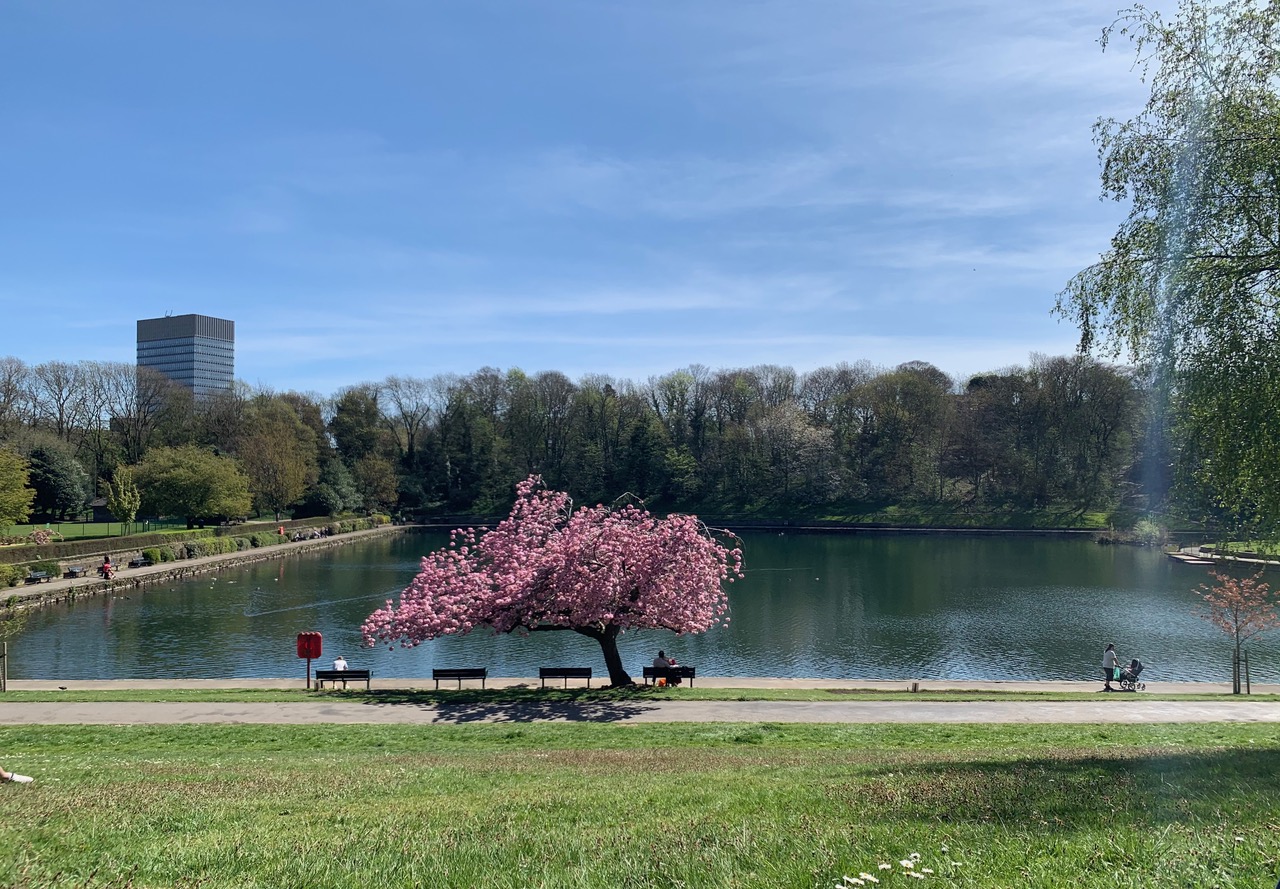 Fwd: Crookes valley park			
					</div><!-- .entry-content -->
		
		<footer>
		
		
		
					
					</footer><!-- .entry-meta -->
	</article><!-- #post -->
				
											
				
		
<hr class=