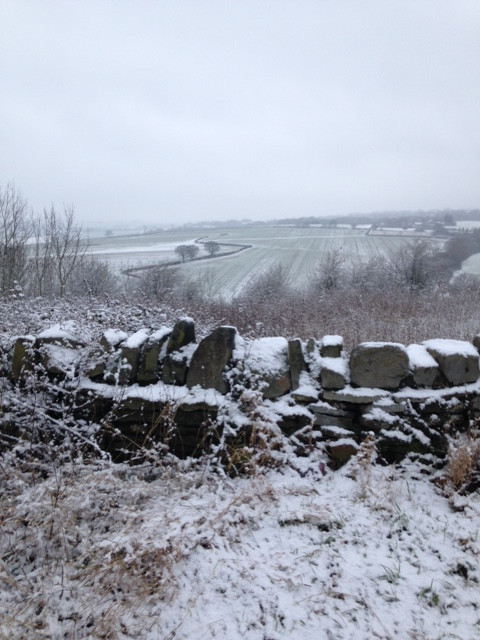 Fwd: Ridgeway			
					</div><!-- .entry-content -->
		
		<footer>
		
		
		
					
					</footer><!-- .entry-meta -->
	</article><!-- #post -->
				
											
				
		
<hr class=