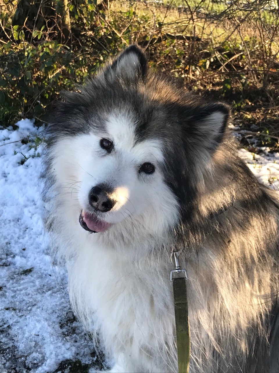 Fwd: Diesel  by Val Unwin of Aughton			
					</div><!-- .entry-content -->
		
		<footer>
		
		
		
					
					</footer><!-- .entry-meta -->
	</article><!-- #post -->
				
											
				
		
<hr class=