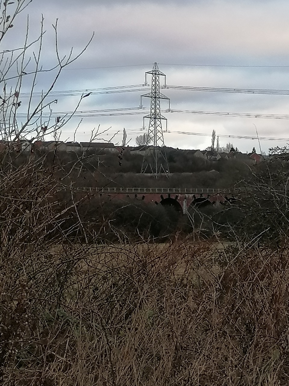 Fwd: Photos			
					</div><!-- .entry-content -->
		
		<footer>
		
		
		
					
					</footer><!-- .entry-meta -->
	</article><!-- #post -->
				
											
				
		
<hr class=