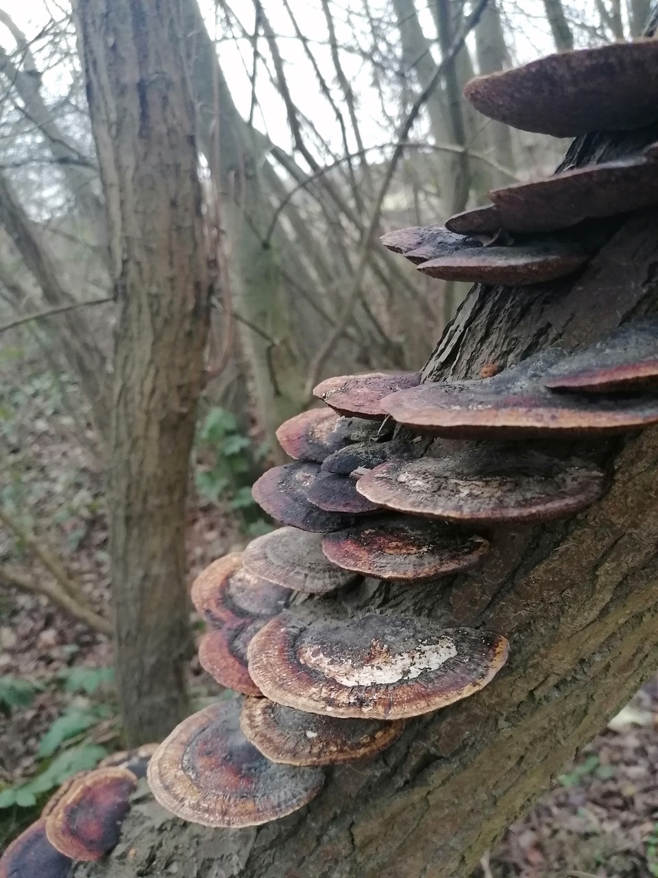 Fwd: Photos			
					</div><!-- .entry-content -->
		
		<footer>
		
		
		
					
					</footer><!-- .entry-meta -->
	</article><!-- #post -->
				
											
				
		
<hr class=