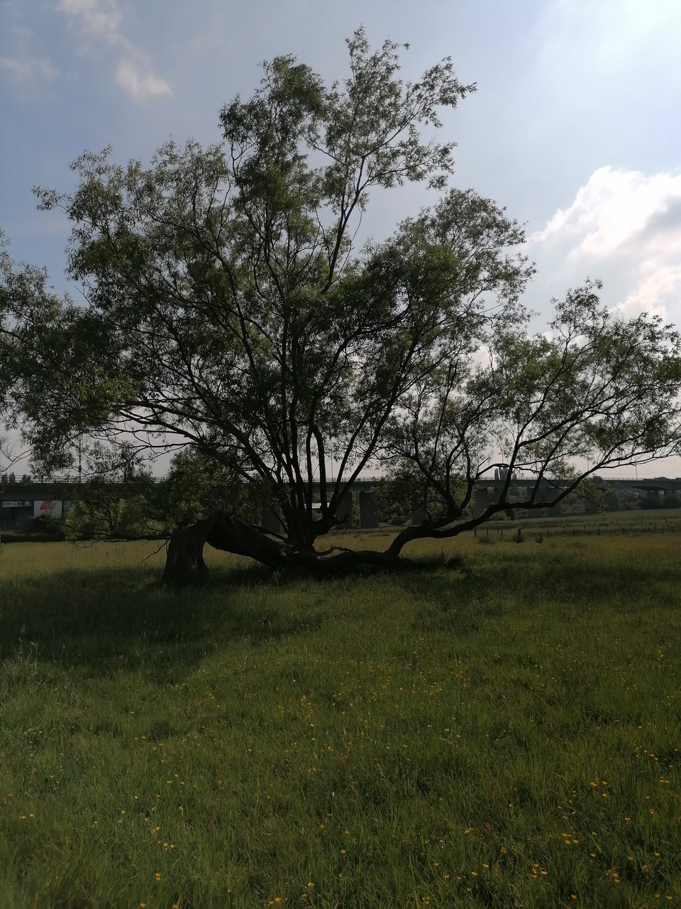 Fwd: Photos			
					</div><!-- .entry-content -->
		
		<footer>
		
		
		
					
					</footer><!-- .entry-meta -->
	</article><!-- #post -->
				
											
				
		
<hr class=