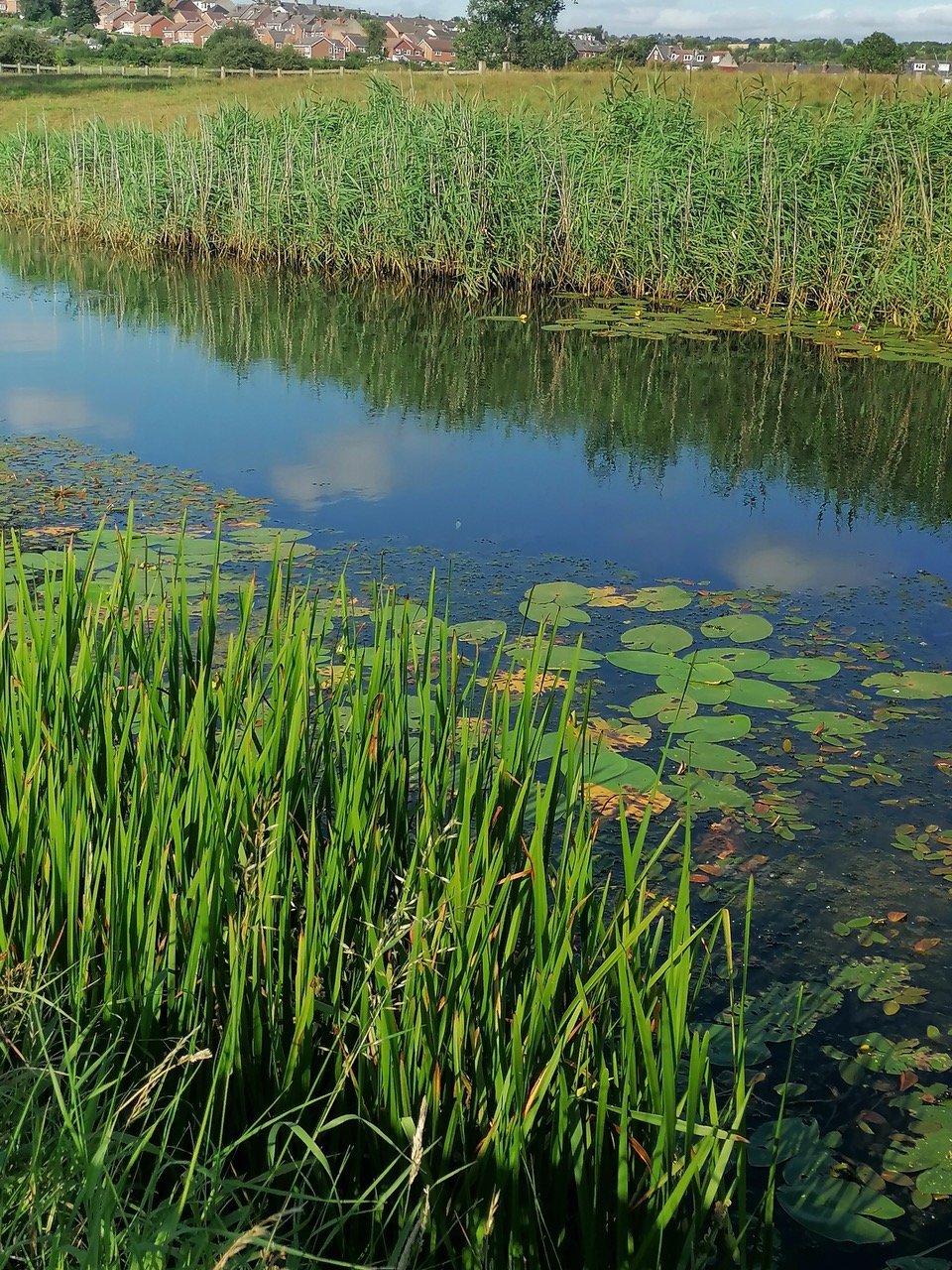 Fwd: Photos			
					</div><!-- .entry-content -->
		
		<footer>
		
		
		
					
					</footer><!-- .entry-meta -->
	</article><!-- #post -->
				
											
				
		
<hr class=