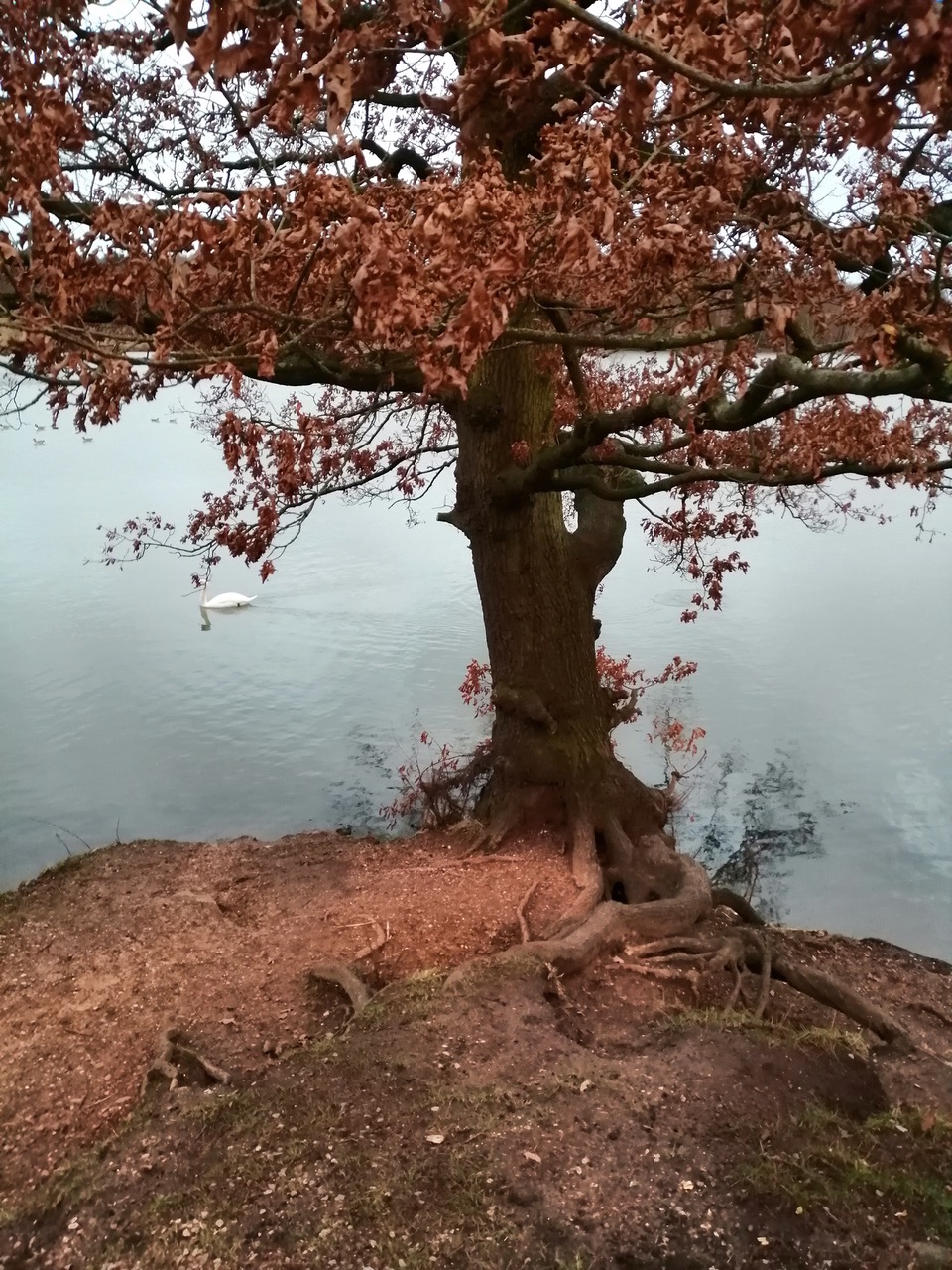 Fwd: Clumber Park, Worksop			
					</div><!-- .entry-content -->
		
		<footer>
		
		
		
					
					</footer><!-- .entry-meta -->
	</article><!-- #post -->
				
											
				
		
<hr class=