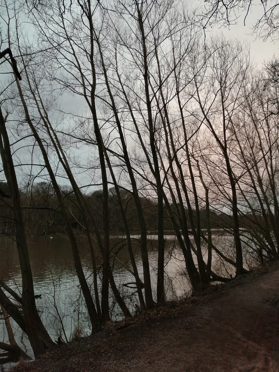 Fwd: Clumber Park, Worksop			
					</div><!-- .entry-content -->
		
		<footer>
		
		
		
					
					</footer><!-- .entry-meta -->
	</article><!-- #post -->
				
											
				
		
<hr class=
