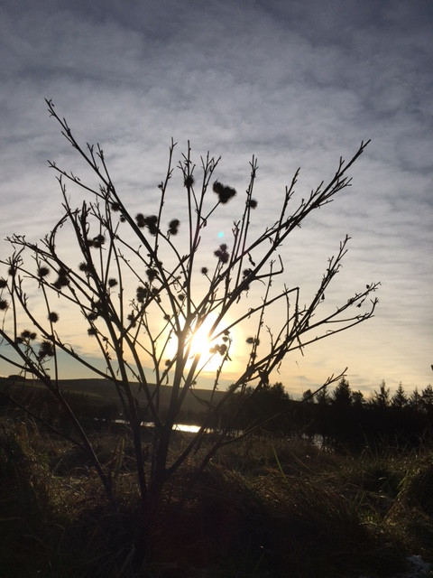 Fwd: Silhouette of Burrs, over Redmires 25/12/2020			
					</div><!-- .entry-content -->
		
		<footer>
		
		
		
					
					</footer><!-- .entry-meta -->
	</article><!-- #post -->
				
											
				
		
<hr class=