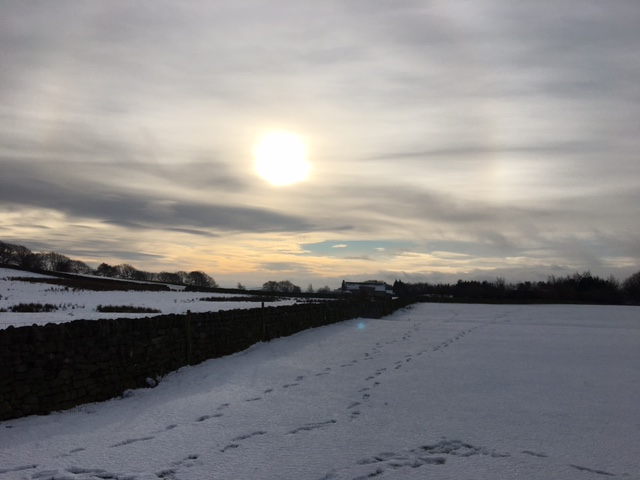 Fwd: Winter Sun over Barberfields 30/12/2020			
					</div><!-- .entry-content -->
		
		<footer>
		
		
		
					
					</footer><!-- .entry-meta -->
	</article><!-- #post -->
				
											
				
		
<hr class=