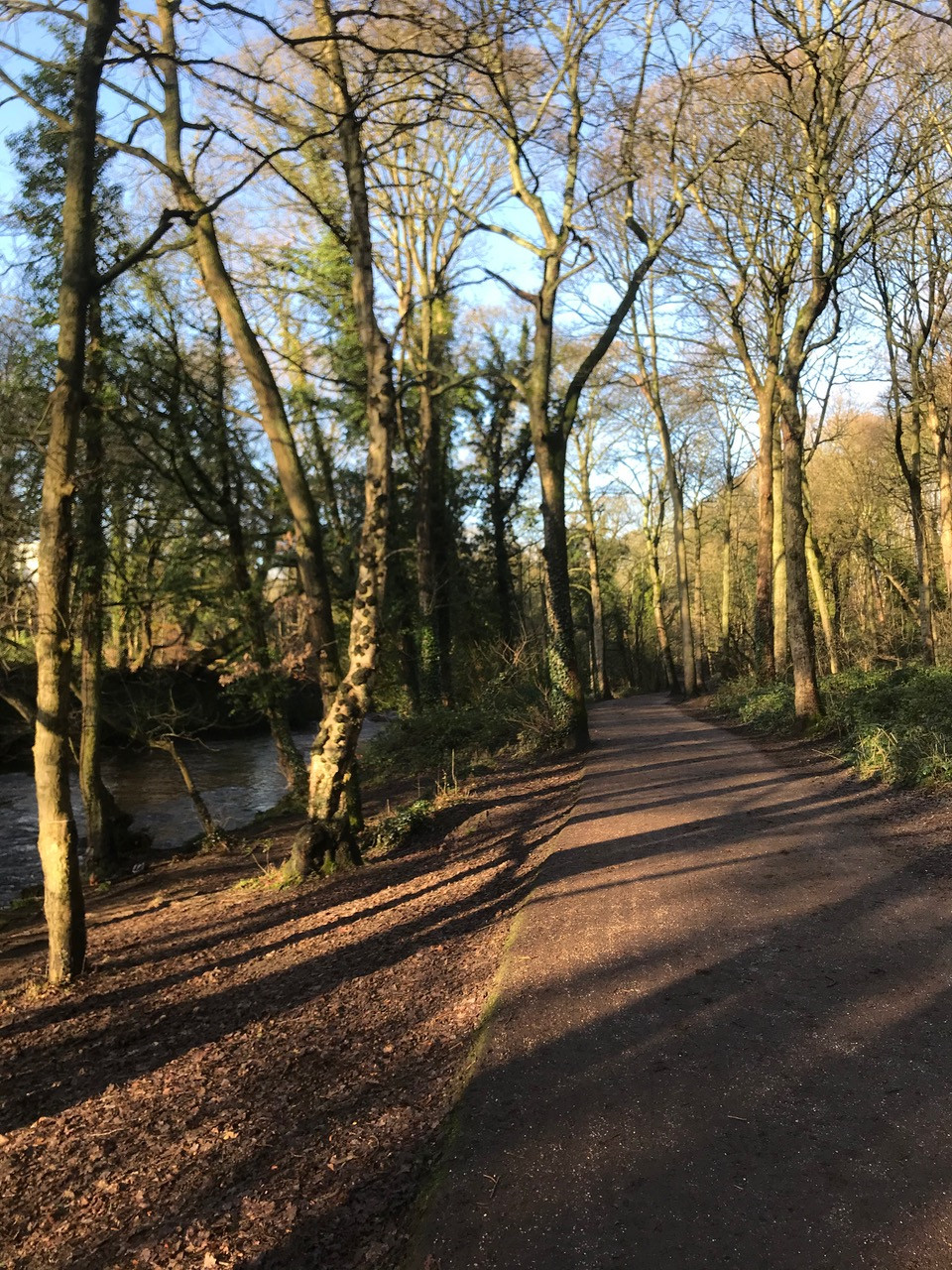 Fwd: Jason toulson , upper don trails beely woods			
					</div><!-- .entry-content -->
		
		<footer>
		
		
		
					
					</footer><!-- .entry-meta -->
	</article><!-- #post -->
				
											
				
		
<hr class=