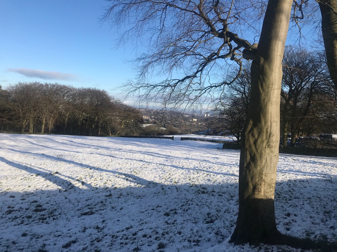 Fwd: Sheffield from Ringinglow			
					</div><!-- .entry-content -->
		
		<footer>
		
		
		
					
					</footer><!-- .entry-meta -->
	</article><!-- #post -->
				
											
				
		
<hr class=