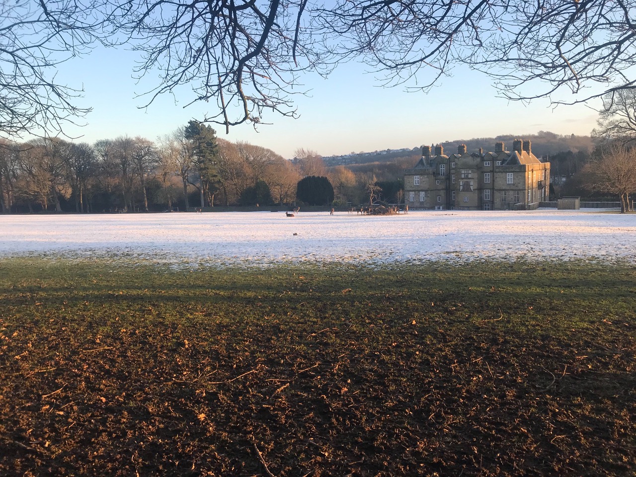 Fwd: Deer herd at Beachief			
					</div><!-- .entry-content -->
		
		<footer>
		
		
		
					
					</footer><!-- .entry-meta -->
	</article><!-- #post -->
				
											
				
		
<hr class=