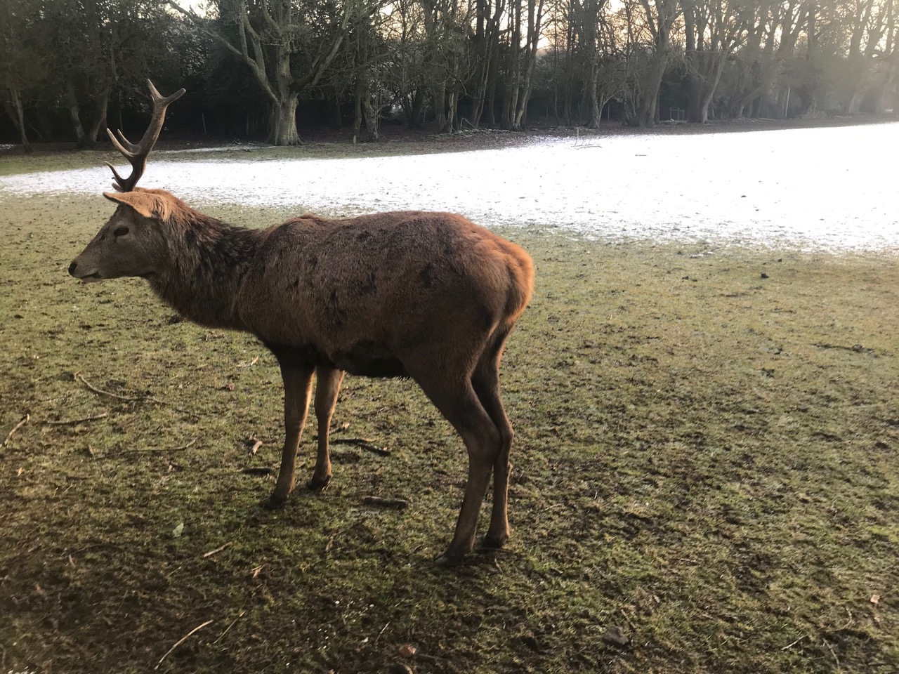 Fwd: Beau chief			
					</div><!-- .entry-content -->
		
		<footer>
		
		
		
					
					</footer><!-- .entry-meta -->
	</article><!-- #post -->
				
											
				
		
<hr class=