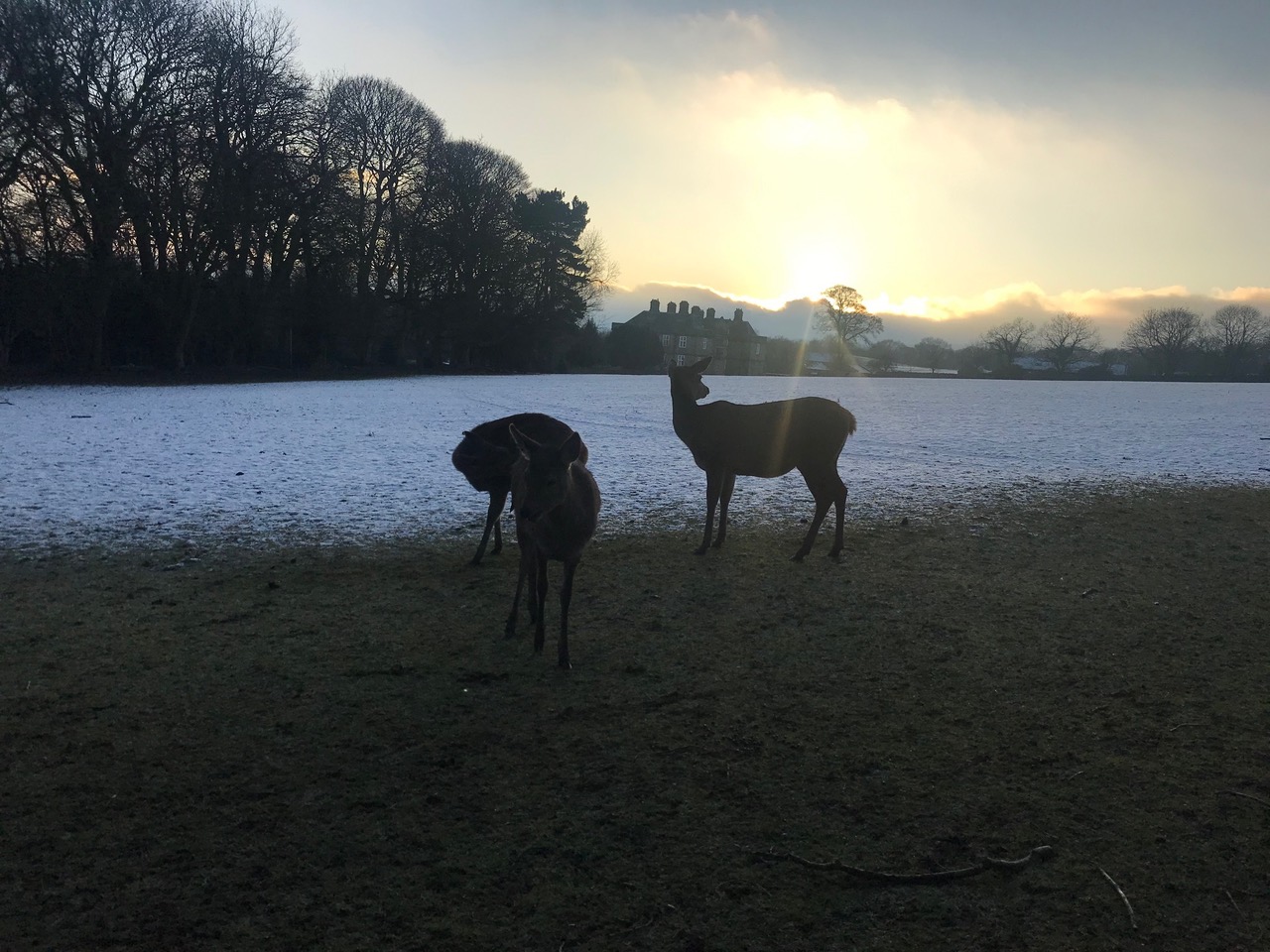 Fwd: Beau chief			
					</div><!-- .entry-content -->
		
		<footer>
		
		
		
					
					</footer><!-- .entry-meta -->
	</article><!-- #post -->
				
											
				
		
<hr class=