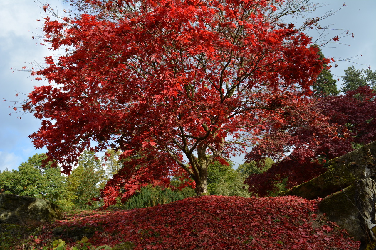 Fwd: Photo			
					</div><!-- .entry-content -->
		
		<footer>
		
		
		
					
					</footer><!-- .entry-meta -->
	</article><!-- #post -->
				
											
				
		
<hr class=