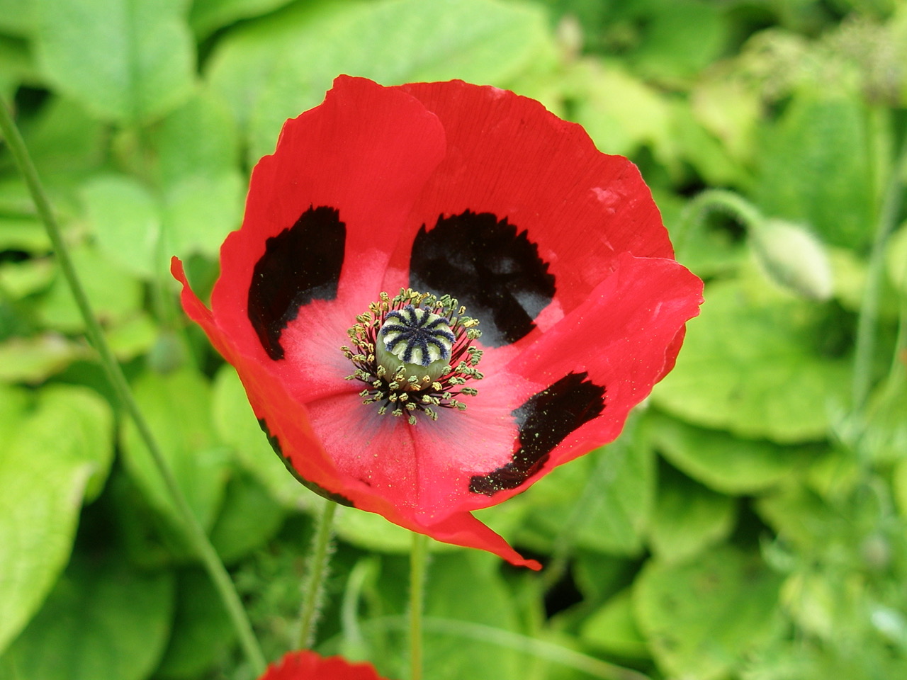 Fwd: Photo			
					</div><!-- .entry-content -->
		
		<footer>
		
		
		
					
					</footer><!-- .entry-meta -->
	</article><!-- #post -->
				
											
				
		
<hr class=