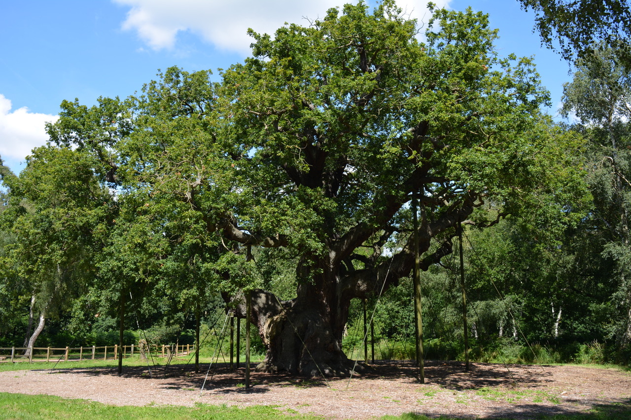 Fwd: Photo			
					</div><!-- .entry-content -->
		
		<footer>
		
		
		
					
					</footer><!-- .entry-meta -->
	</article><!-- #post -->
				
											
				
		
<hr class=