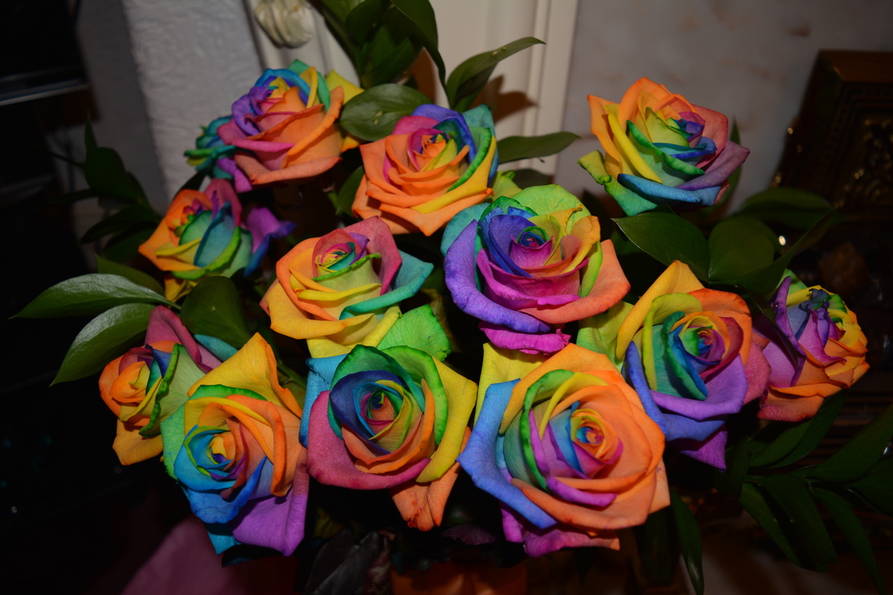 Fwd: Photo			
					</div><!-- .entry-content -->
		
		<footer>
		
		
		
					
					</footer><!-- .entry-meta -->
	</article><!-- #post -->
				
											
				
		
<hr class=