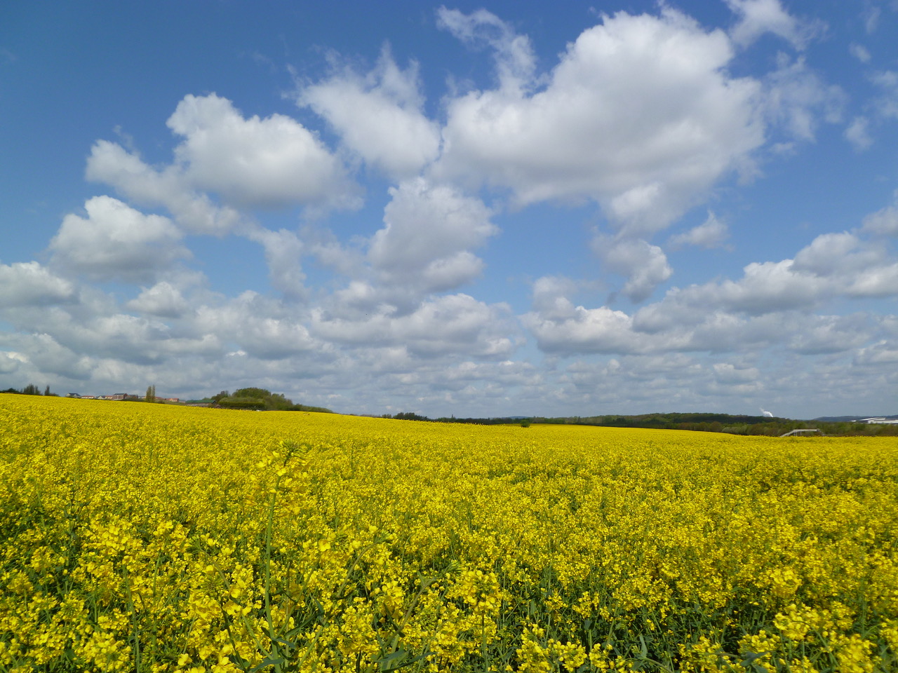 Fwd: Photo			
					</div><!-- .entry-content -->
		
		<footer>
		
		
		
					
					</footer><!-- .entry-meta -->
	</article><!-- #post -->
				
											
				
		
<hr class=