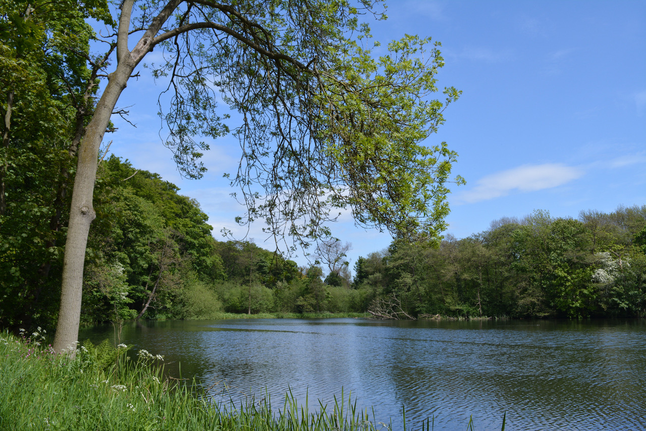 Fwd: Photo			
					</div><!-- .entry-content -->
		
		<footer>
		
		
		
					
					</footer><!-- .entry-meta -->
	</article><!-- #post -->
				
											
				
		
<hr class=