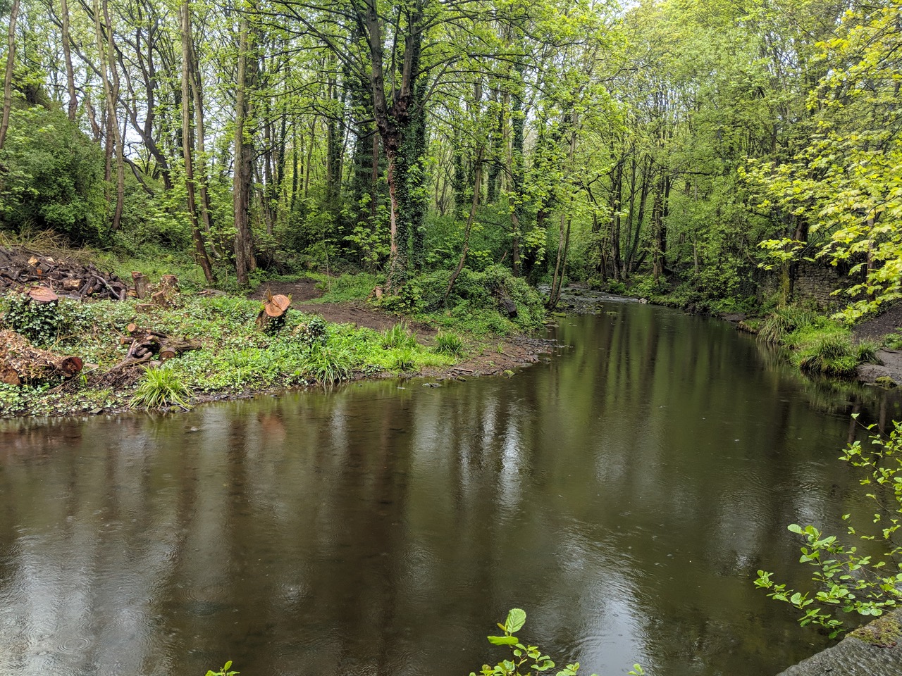 Fwd: River Loxley photo			
					</div><!-- .entry-content -->
		
		<footer>
		
		
		
					
					</footer><!-- .entry-meta -->
	</article><!-- #post -->
				
											
				
		
<hr class=