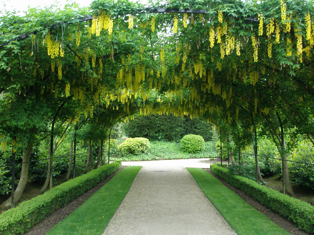 Fwd: Photo			
					</div><!-- .entry-content -->
		
		<footer>
		
		
		
					
					</footer><!-- .entry-meta -->
	</article><!-- #post -->
				
											
				
		
<hr class=