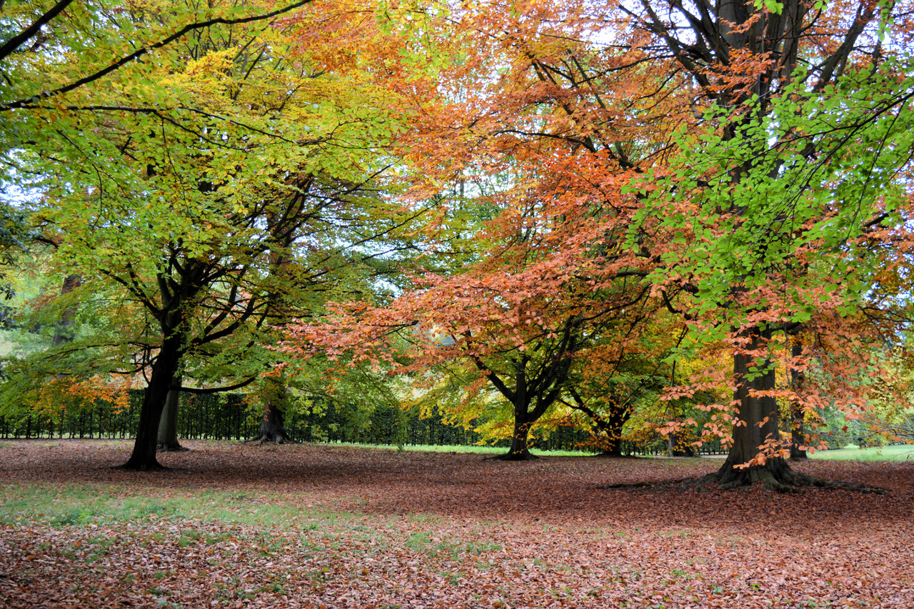 Fwd: Photo			
					</div><!-- .entry-content -->
		
		<footer>
		
		
		
					
					</footer><!-- .entry-meta -->
	</article><!-- #post -->
				
											
				
		
<hr class=