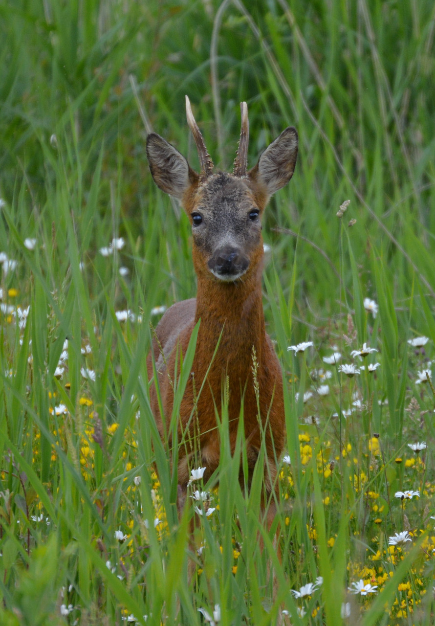 Fwd: Photo			
					</div><!-- .entry-content -->
		
		<footer>
		
		
		
					
					</footer><!-- .entry-meta -->
	</article><!-- #post -->
				
											
				
		
<hr class=