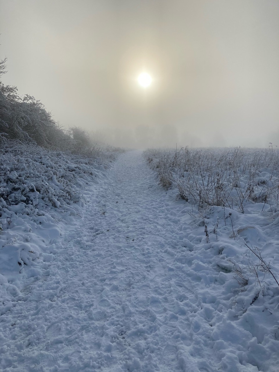 Fwd: Halfway			
					</div><!-- .entry-content -->
		
		<footer>
		
		
		
					
					</footer><!-- .entry-meta -->
	</article><!-- #post -->
				
											
				
		
<hr class=