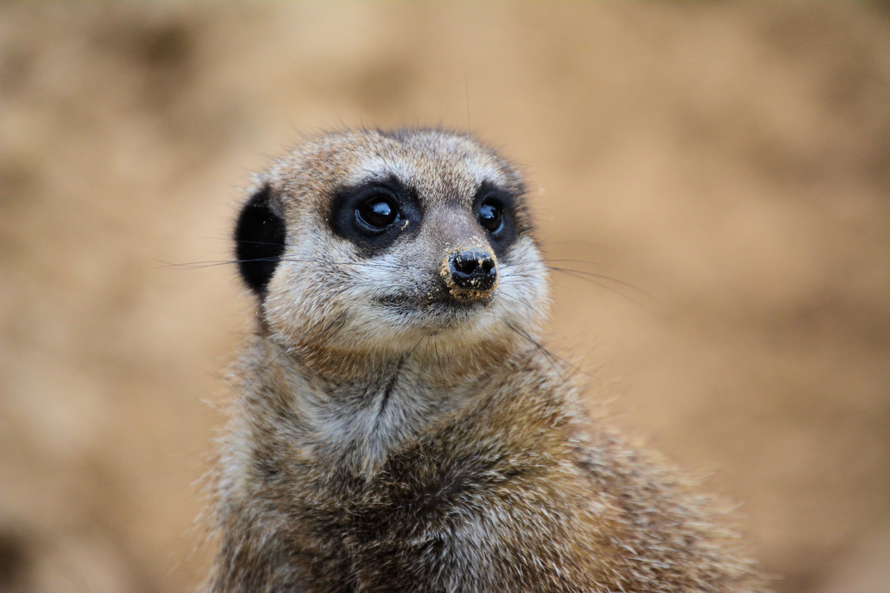 Fwd: Photo			
					</div><!-- .entry-content -->
		
		<footer>
		
		
		
					
					</footer><!-- .entry-meta -->
	</article><!-- #post -->
				
											
				
		
<hr class=