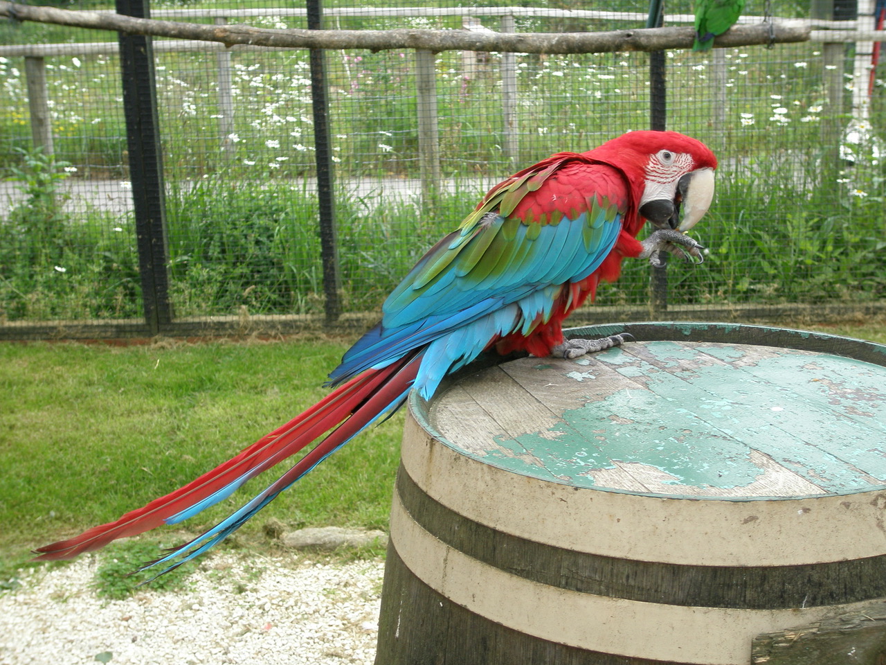 Fwd: Photo			
					</div><!-- .entry-content -->
		
		<footer>
		
		
		
					
					</footer><!-- .entry-meta -->
	</article><!-- #post -->
				
											
				
		
<hr class=