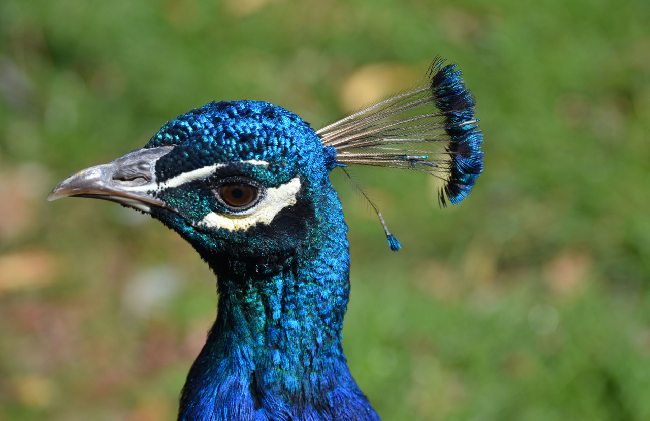 Fwd: Photo			
					</div><!-- .entry-content -->
		
		<footer>
		
		
		
					
					</footer><!-- .entry-meta -->
	</article><!-- #post -->
				
											
				
		
<hr class=