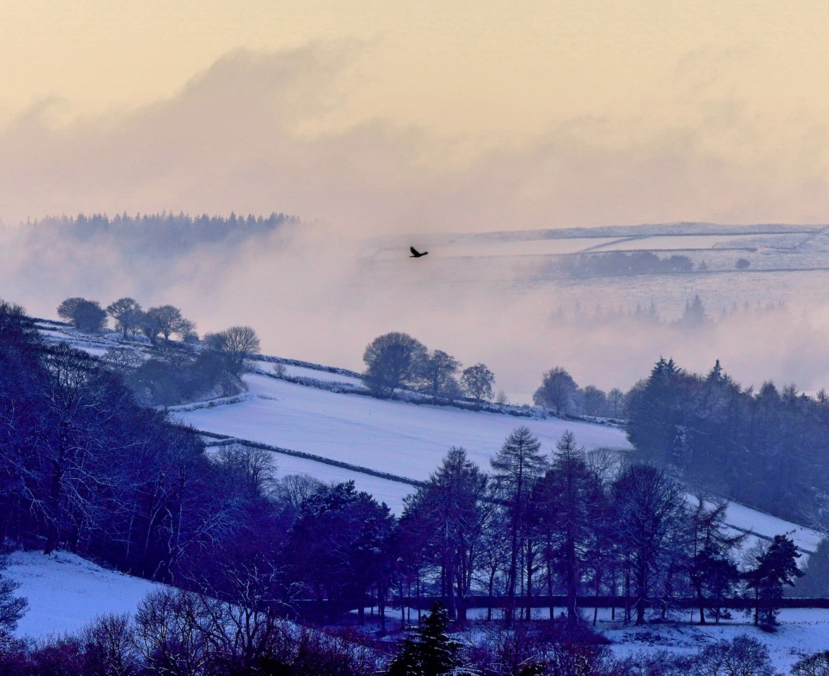 Fwd: photos			
					</div><!-- .entry-content -->
		
		<footer>
		
		
		
					
					</footer><!-- .entry-meta -->
	</article><!-- #post -->
				
											
				
		
<hr class=