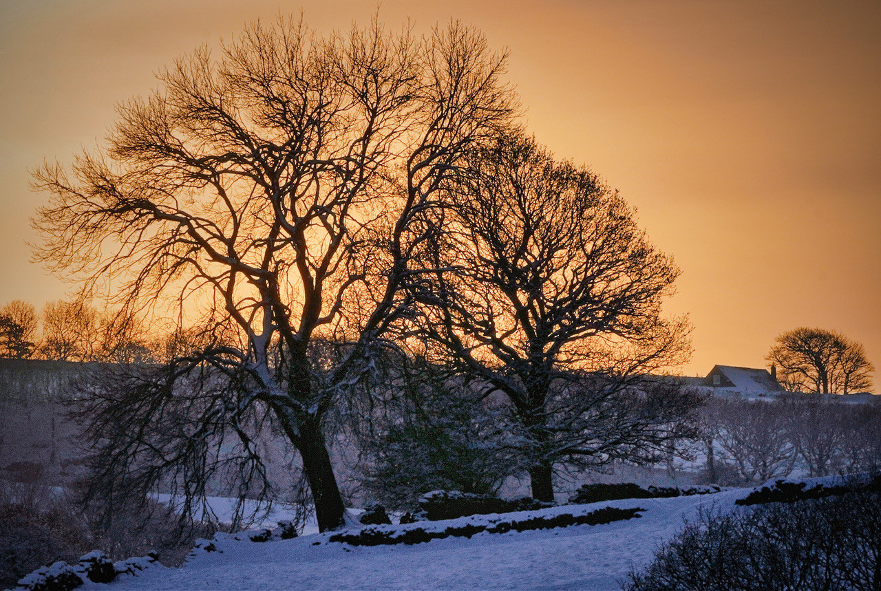 Fwd: photos			
					</div><!-- .entry-content -->
		
		<footer>
		
		
		
					
					</footer><!-- .entry-meta -->
	</article><!-- #post -->
				
											
				
		
<hr class=