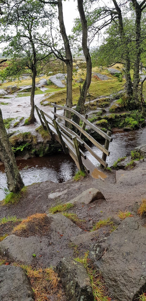 Fwd: Padley gorge			
					</div><!-- .entry-content -->
		
		<footer>
		
		
		
					
					</footer><!-- .entry-meta -->
	</article><!-- #post -->
				
											
				
		
<hr class=