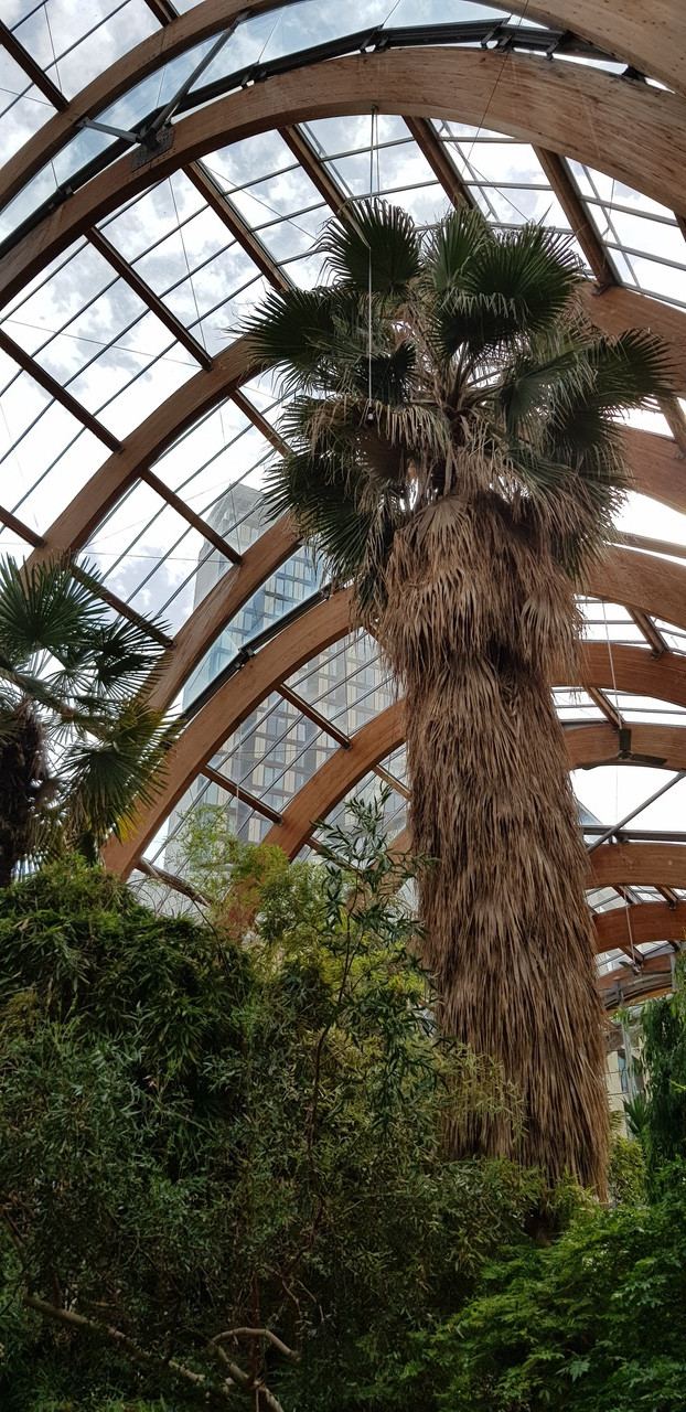 Fwd: Winter gardens			
					</div><!-- .entry-content -->
		
		<footer>
		
		
		
					
					</footer><!-- .entry-meta -->
	</article><!-- #post -->
				
											
				
		
<hr class=