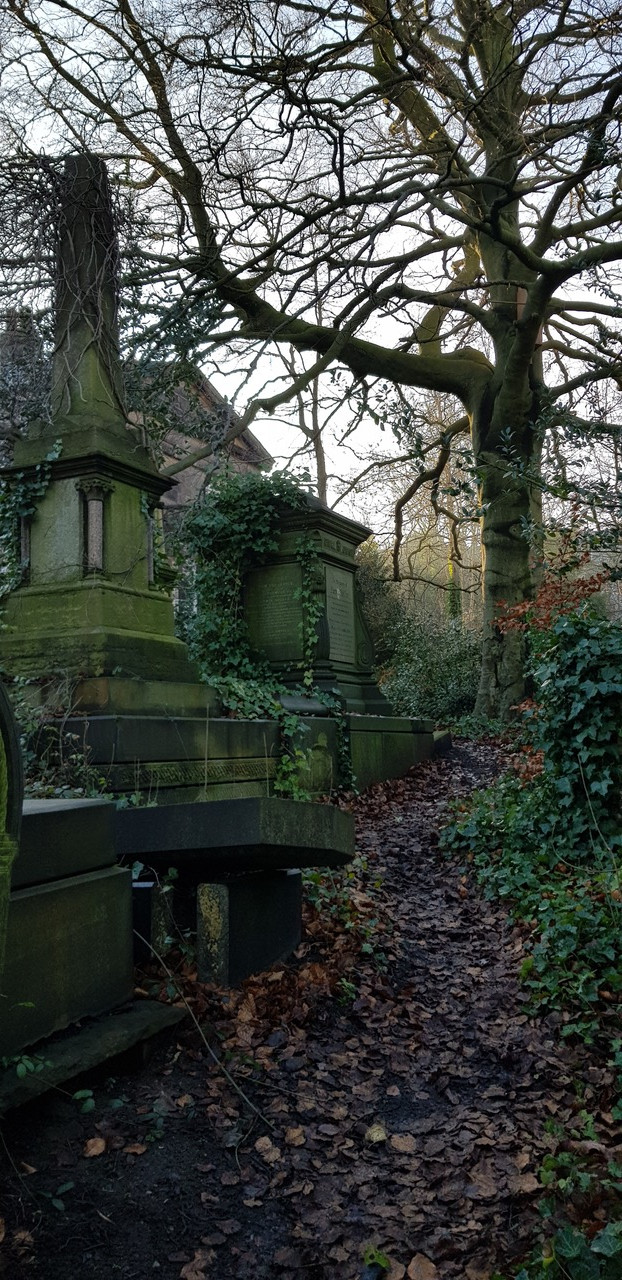 Fwd: Sheffield central cemetry			
					</div><!-- .entry-content -->
		
		<footer>
		
		
		
					
					</footer><!-- .entry-meta -->
	</article><!-- #post -->
				
											
				
		
<hr class=
