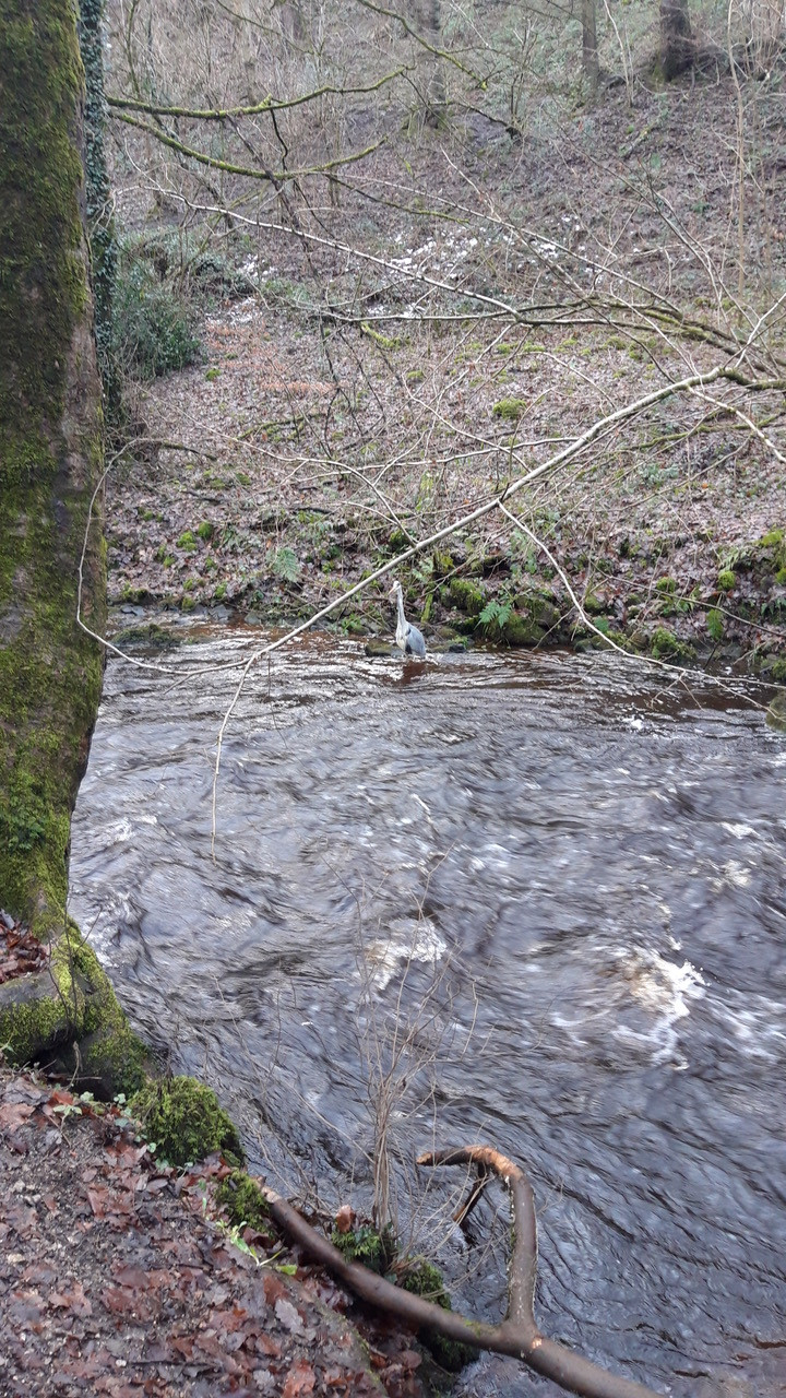 Fwd: heron at Rivelin Valley by Matt Linster			
					</div><!-- .entry-content -->
		
		<footer>
		
		
		
					
					</footer><!-- .entry-meta -->
	</article><!-- #post -->
				
											
				
		
<hr class=