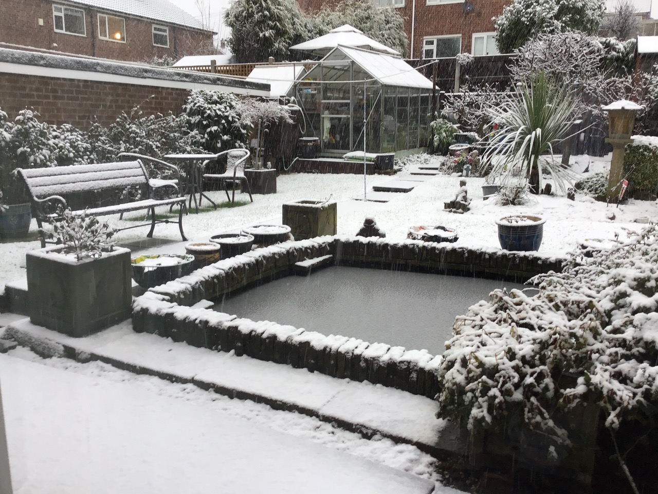 Fwd: Snow in Brinsworth.  From Barbara Naylor			
					</div><!-- .entry-content -->
		
		<footer>
		
		
		
					
					</footer><!-- .entry-meta -->
	</article><!-- #post -->
				
											
				
		
<hr class=