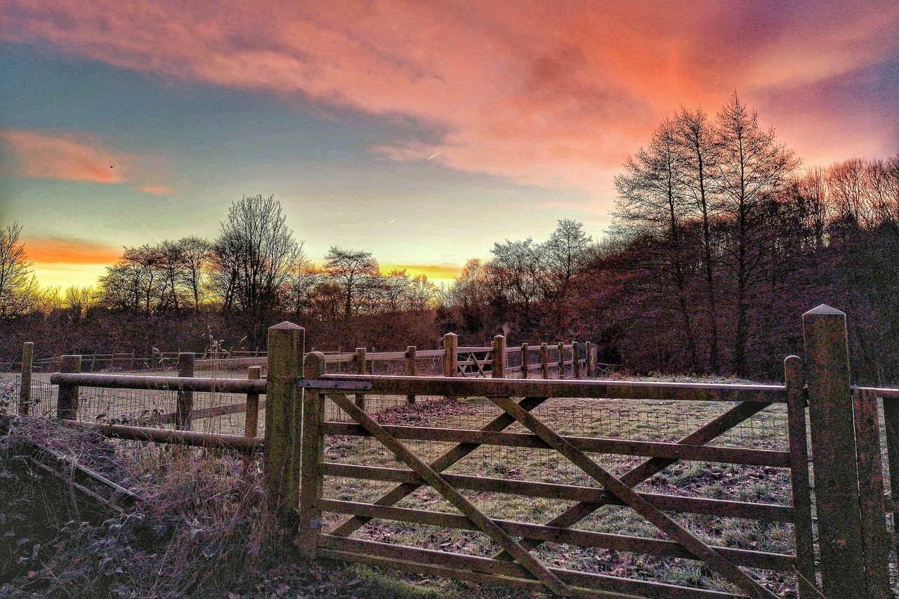 Fwd: Loxley Valley			
					</div><!-- .entry-content -->
		
		<footer>
		
		
		
					
					</footer><!-- .entry-meta -->
	</article><!-- #post -->
				
											
				
		
<hr class=