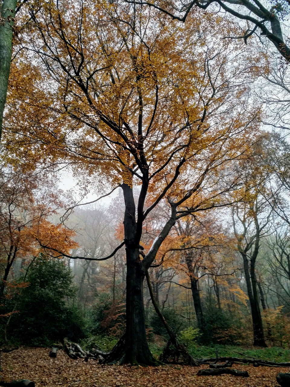 Fwd: Photo			
					</div><!-- .entry-content -->
		
		<footer>
		
		
		
					
					</footer><!-- .entry-meta -->
	</article><!-- #post -->
				
											
				
		
<hr class=