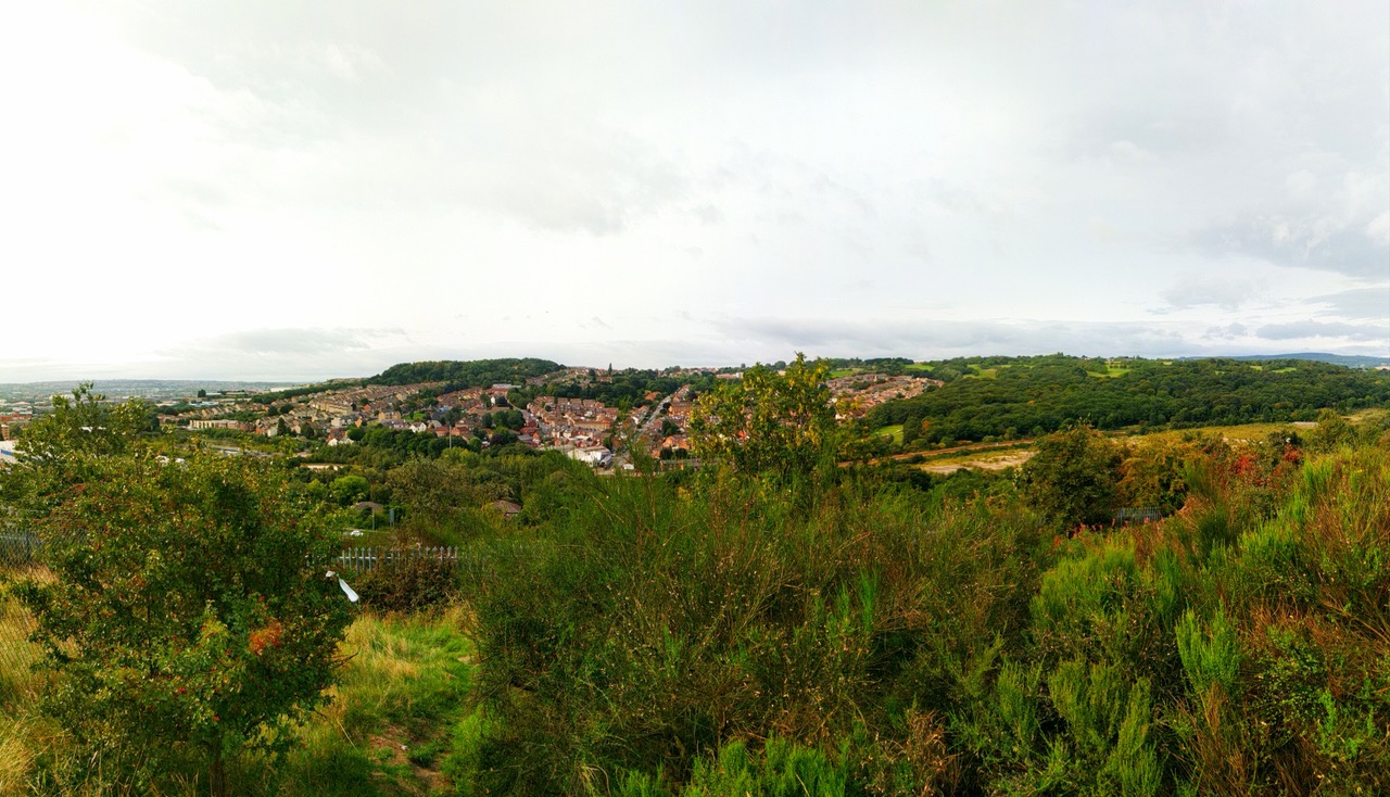 Fwd: View over Concord park by Peter Mytko			
					</div><!-- .entry-content -->
		
		<footer>
		
		
		
					
					</footer><!-- .entry-meta -->
	</article><!-- #post -->
				
											
				
		
<hr class=