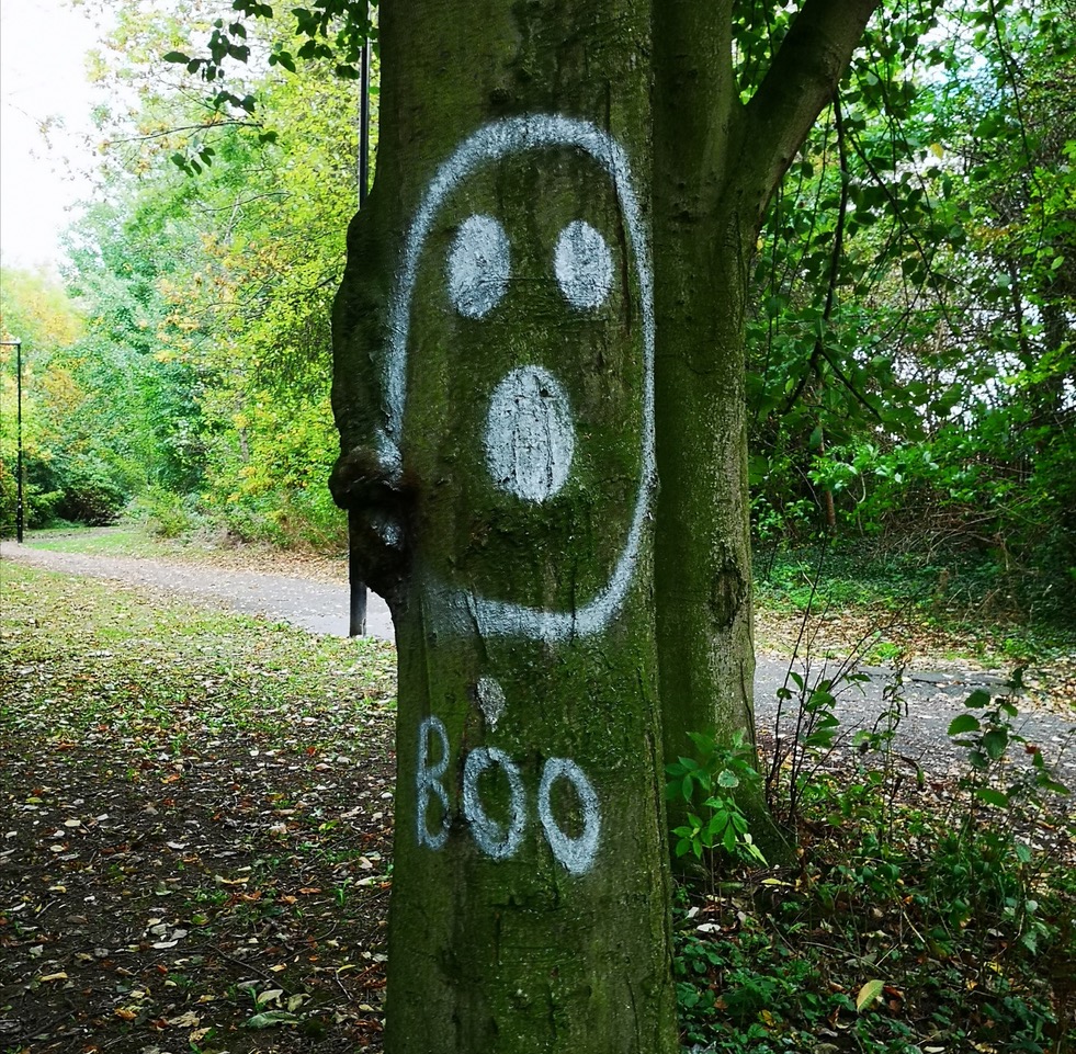 Fwd: Boo at Waterthorpe			
					</div><!-- .entry-content -->
		
		<footer>
		
		
		
					
					</footer><!-- .entry-meta -->
	</article><!-- #post -->
				
											
				
		
<hr class=