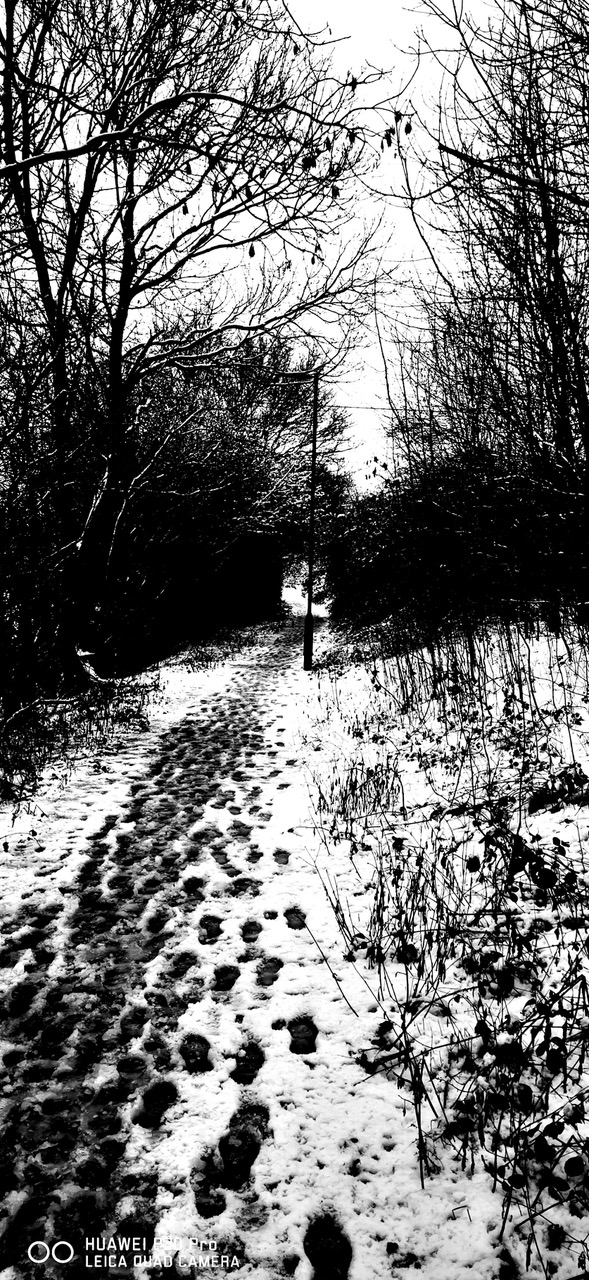 Fwd: Snow at drakehouse			
					</div><!-- .entry-content -->
		
		<footer>
		
		
		
					
					</footer><!-- .entry-meta -->
	</article><!-- #post -->
				
											
				
		
<hr class=