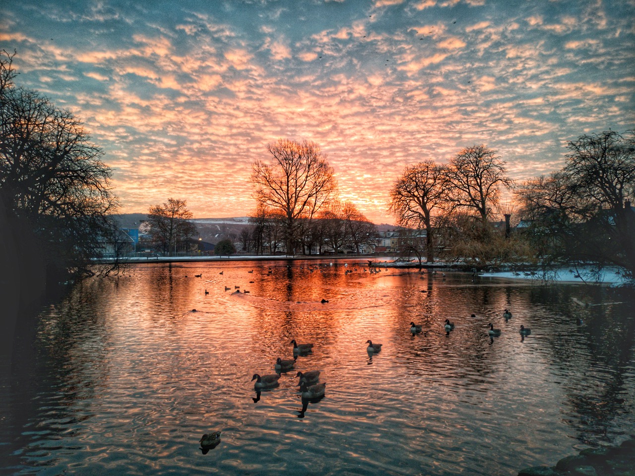 Fwd: Sunrise			
					</div><!-- .entry-content -->
		
		<footer>
		
		
		
					
					</footer><!-- .entry-meta -->
	</article><!-- #post -->
				
											
				
		
<hr class=