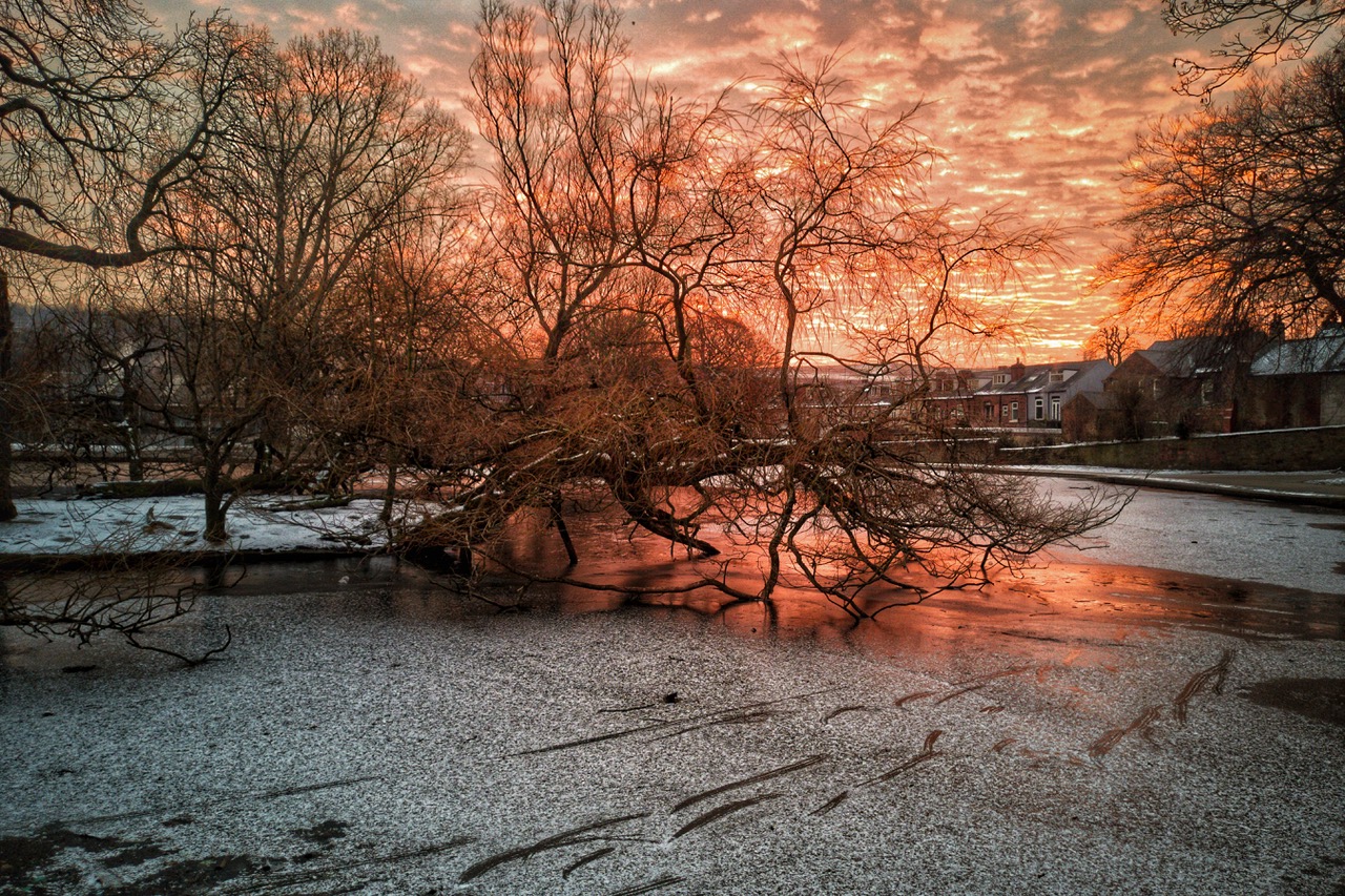 Fwd: Sunrise			
					</div><!-- .entry-content -->
		
		<footer>
		
		
		
					
					</footer><!-- .entry-meta -->
	</article><!-- #post -->
				
											
				
		
<hr class=
