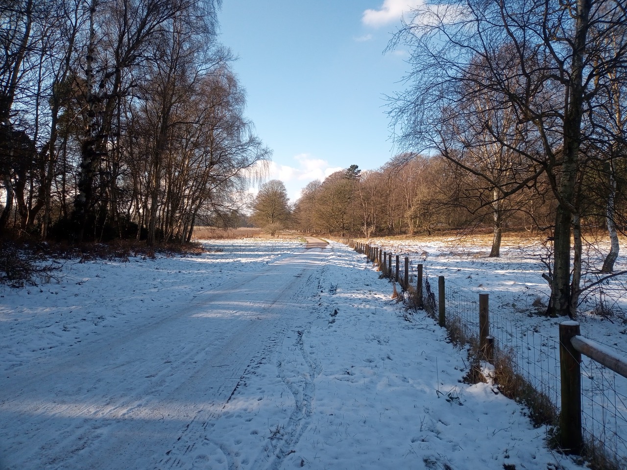 Fwd: Photograph by MFH, Clumber Park			
					</div><!-- .entry-content -->
		
		<footer>
		
		
		
					
					</footer><!-- .entry-meta -->
	</article><!-- #post -->
				
											
				
		
<hr class=